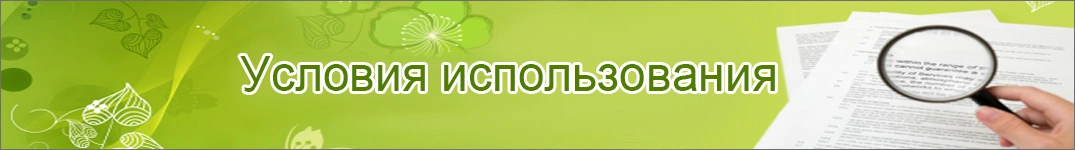 Условия доставки цветов в Нидерланды