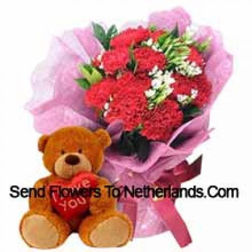 11 Carnations with Cute 12 Inch Teddy