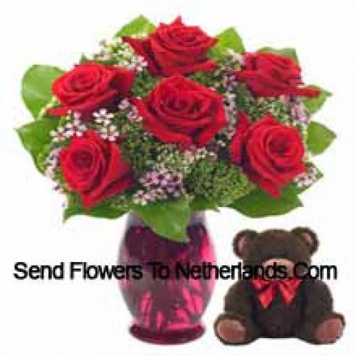 7 Red Roses with Cute 14 Inch Teddy