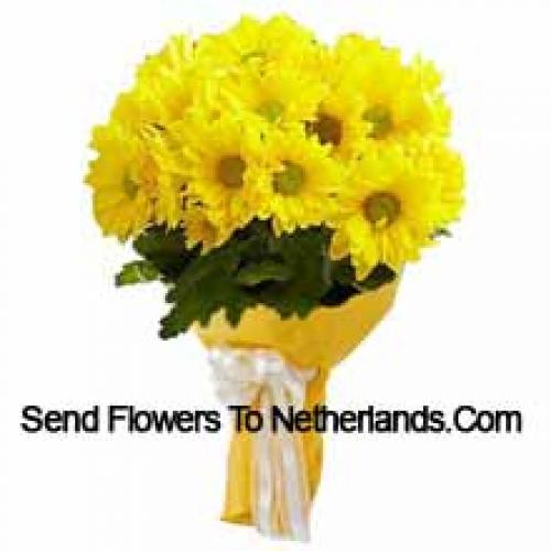 Cool 19 Yellow Gerberas