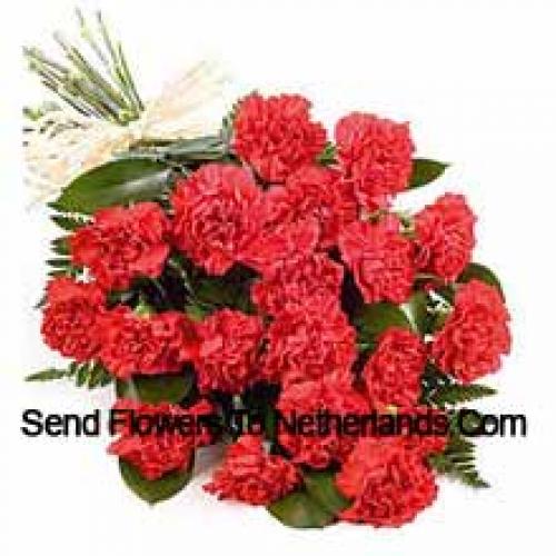 Pretty 25 Red Carnations