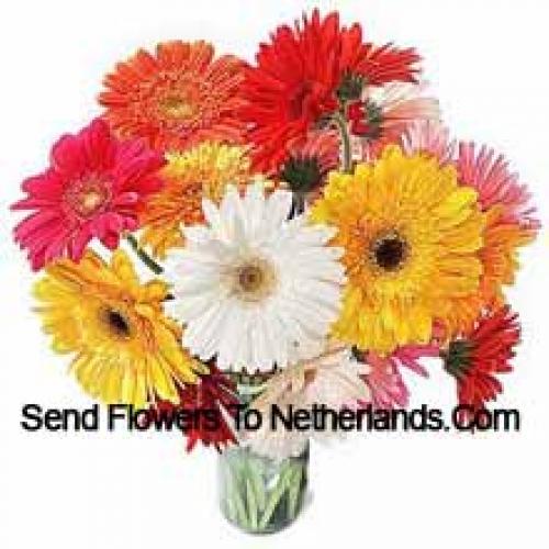 19 Schattige Gemengde Gerbera's