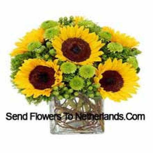 Pretty Sunflowers in Vase