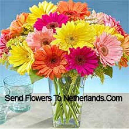 25 Mooie Gemengde Gerbera's