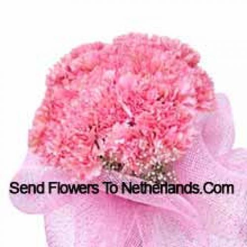 Cute 25 Pink Carnations