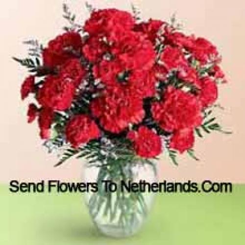 37 Red Cute Carnations