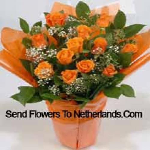 19 Schattige Oranje Rozen