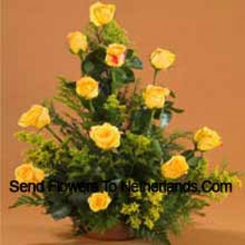 11 Charming Yellow Roses