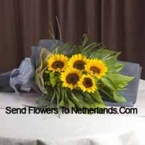 Handpicked Sunflowers Bunch