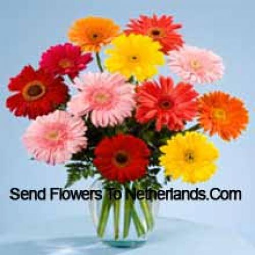 11 Zoete Gemengde Gerbera's