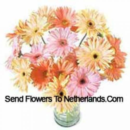 25 Fijne Assortiment Gerbera's