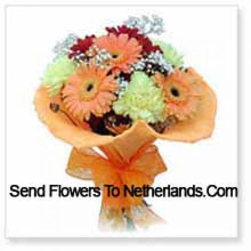 11 Assortiment Schattige Gerbera's