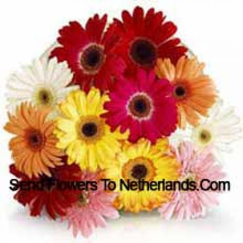 11 Assorted Gerberas with Fillers