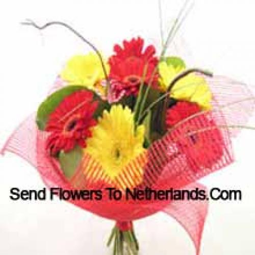 Cute Mixed Gerberas