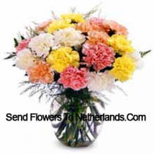 11 Elegant Mixed Carnations