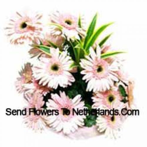 15 Roze Gerbera's Mand