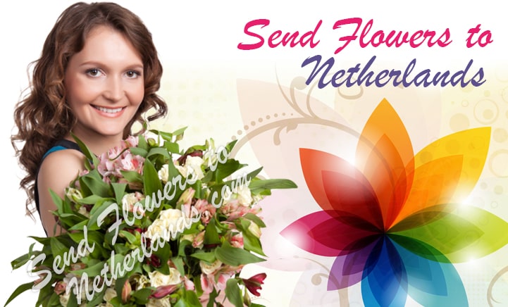 Send Flowers To Netherlands Using Local Florists In Netherlands   Sendflowerstonetherlands 